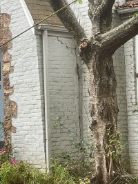 The same corner from the other side, the crack beside the tree whose roots caused the movement.